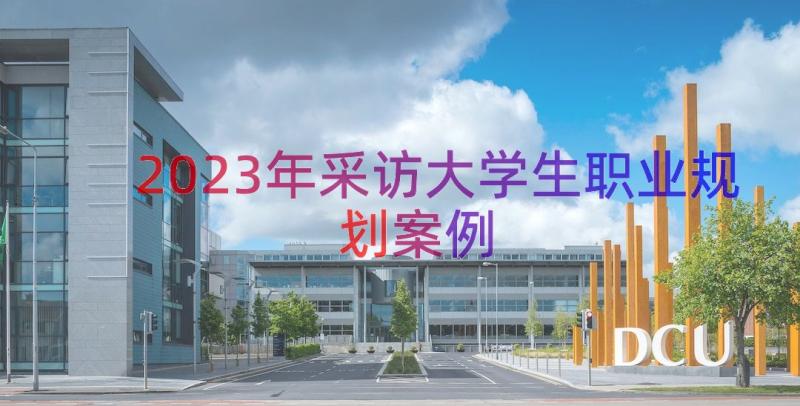 2023年采访大学生职业规划（案例16篇）