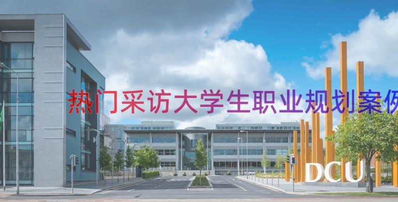 热门采访大学生职业规划（案例16篇）