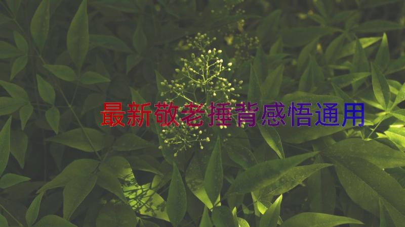 最新敬老捶背感悟（通用16篇）