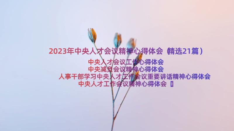 2023年中央人才会议精神心得体会（精选21篇）