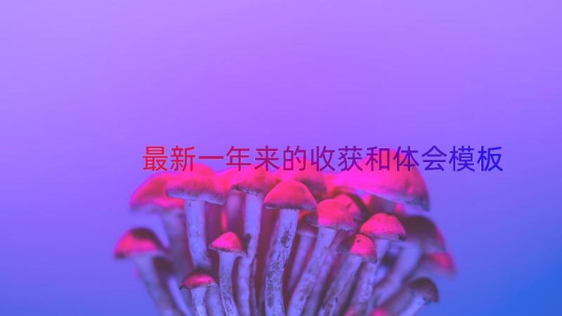 最新一年来的收获和体会（模板19篇）