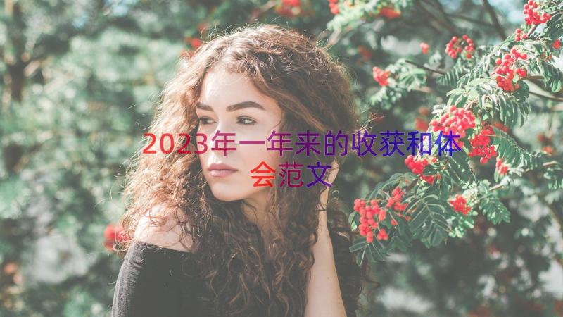 2023年一年来的收获和体会范文（17篇）