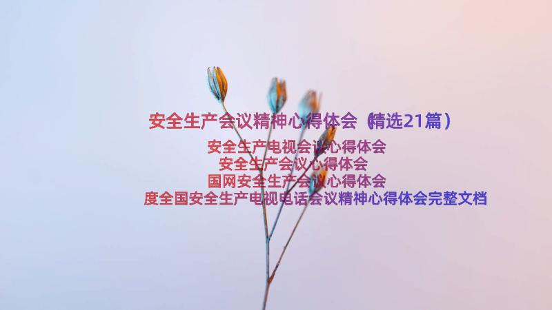 安全生产会议精神心得体会（精选21篇）