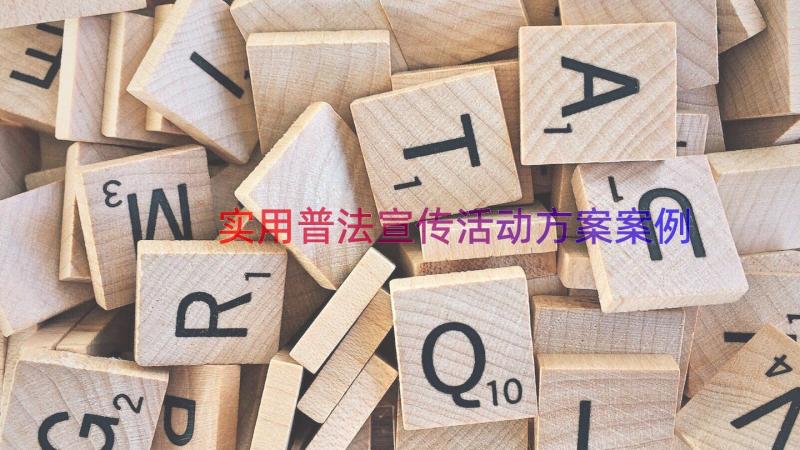 实用普法宣传活动方案（案例16篇）