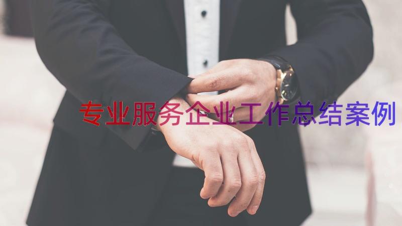 专业服务企业工作总结（案例14篇）