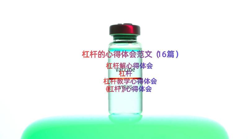 杠杆的心得体会范文（16篇）