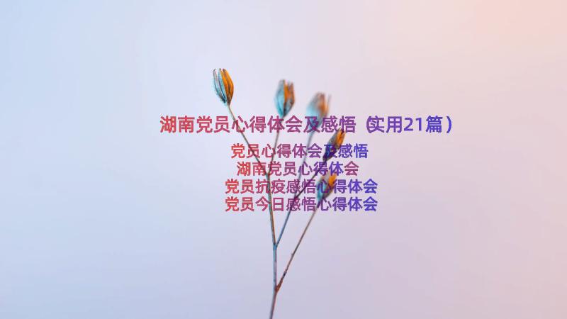 湖南党员心得体会及感悟（实用21篇）