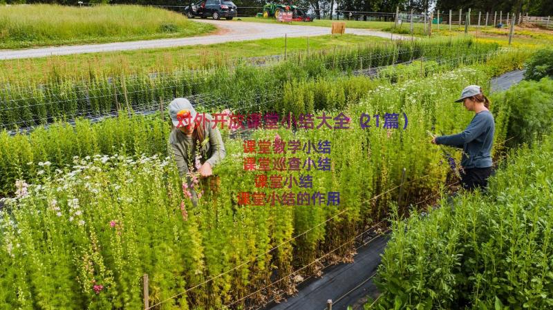 对外开放课堂小结大全（21篇）