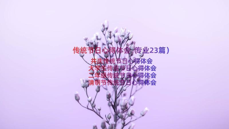 传统节日心得体会（专业23篇）