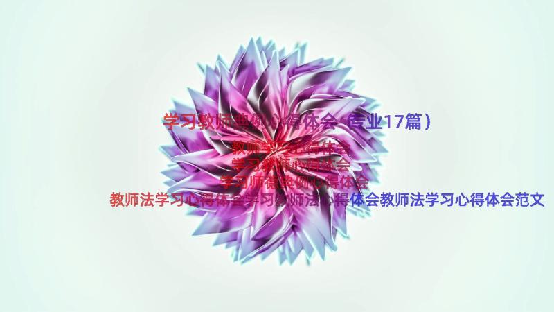 学习教师典例心得体会（专业17篇）