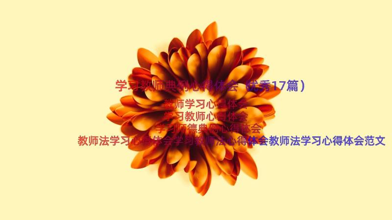 学习教师典例心得体会（优秀17篇）