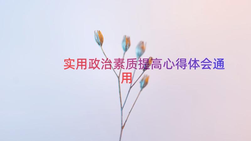 实用政治素质提高心得体会（通用13篇）