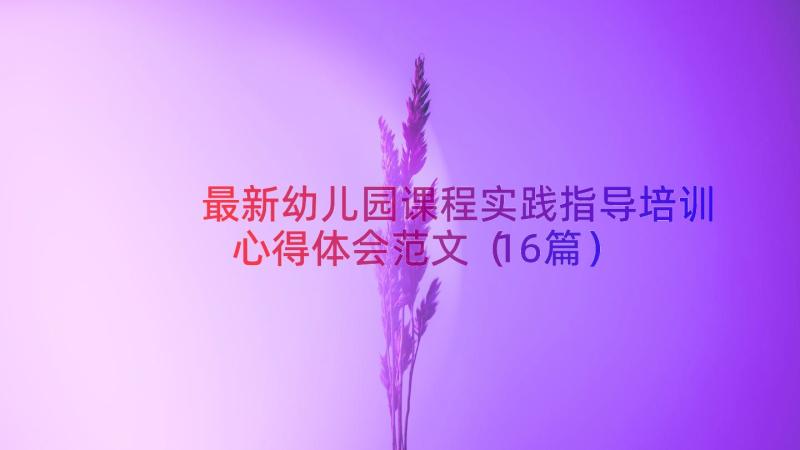 最新幼儿园课程实践指导培训心得体会范文（16篇）