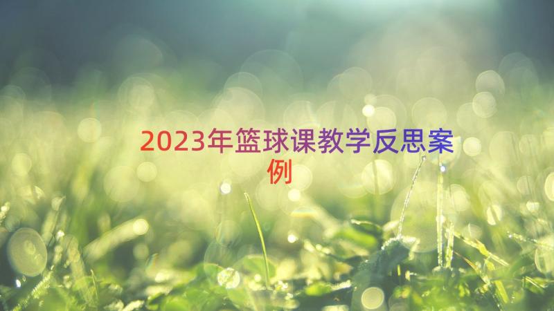 2023年篮球课教学反思（案例17篇）