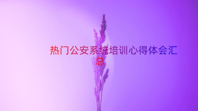 热门公安系统培训心得体会（汇总18篇）