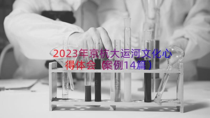 2023年京杭大运河文化心得体会（案例14篇）