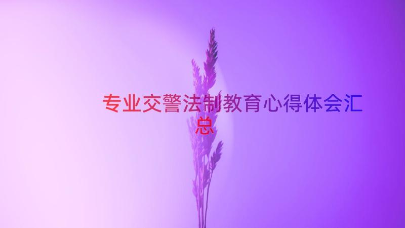 专业交警法制教育心得体会（汇总13篇）