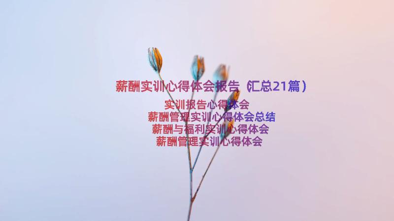 薪酬实训心得体会报告（汇总21篇）