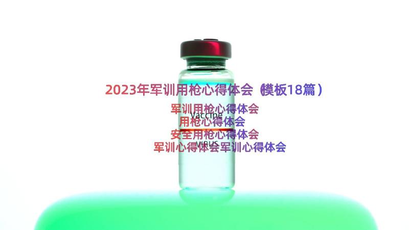 2023年军训用枪心得体会（模板18篇）