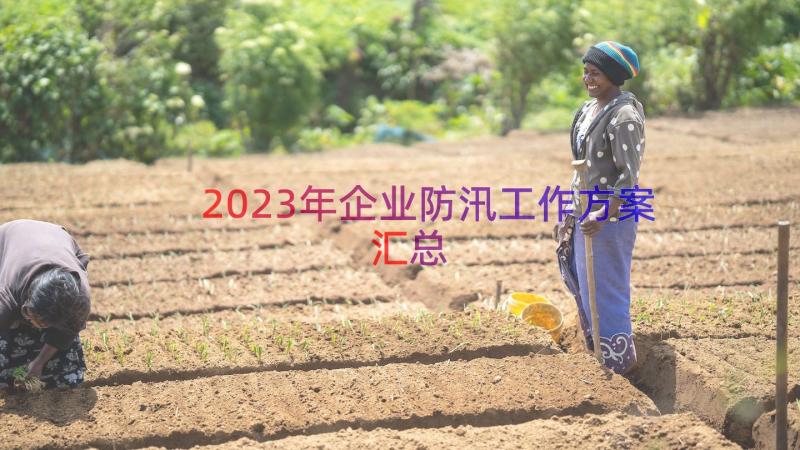 2023年企业防汛工作方案（汇总14篇）