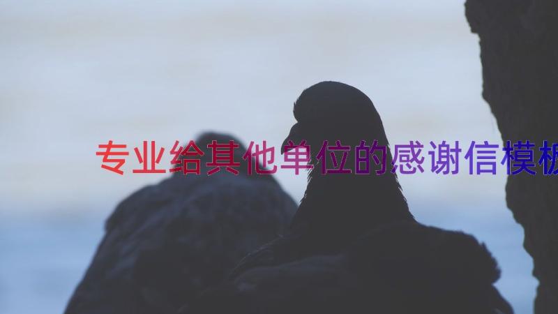 专业给其他单位的感谢信（模板14篇）