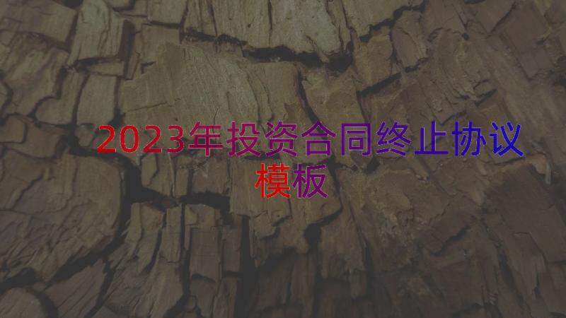 2023年投资合同终止协议（模板16篇）