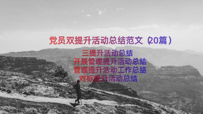 党员双提升活动总结范文（20篇）