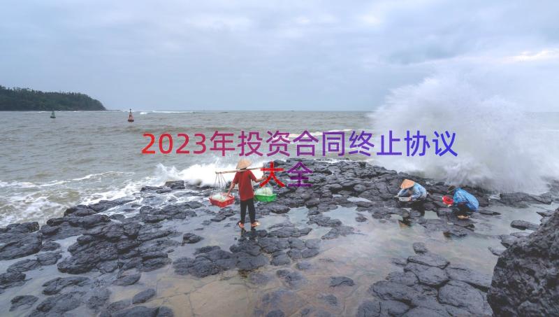 2023年投资合同终止协议大全（16篇）