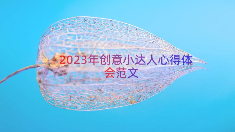 2023年创意小达人心得体会范文（15篇）