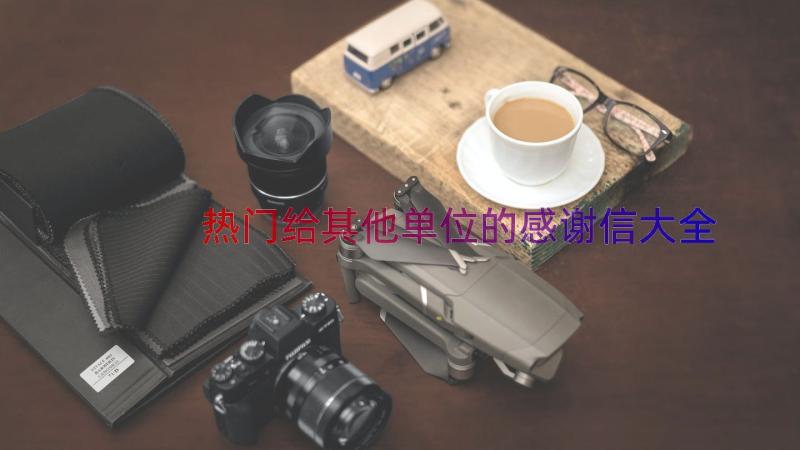 热门给其他单位的感谢信大全（17篇）