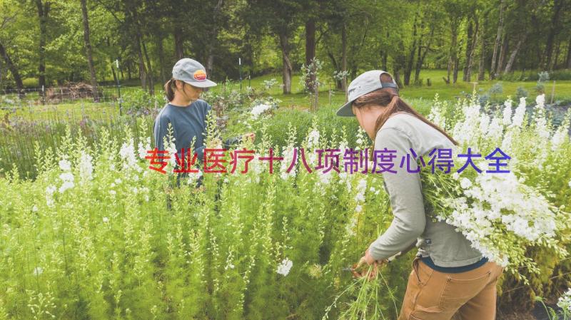 专业医疗十八项制度心得大全（18篇）