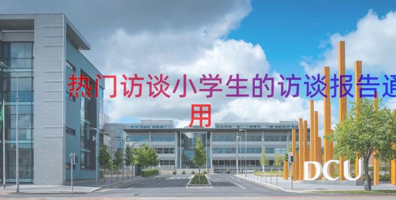 热门访谈小学生的访谈报告（通用14篇）