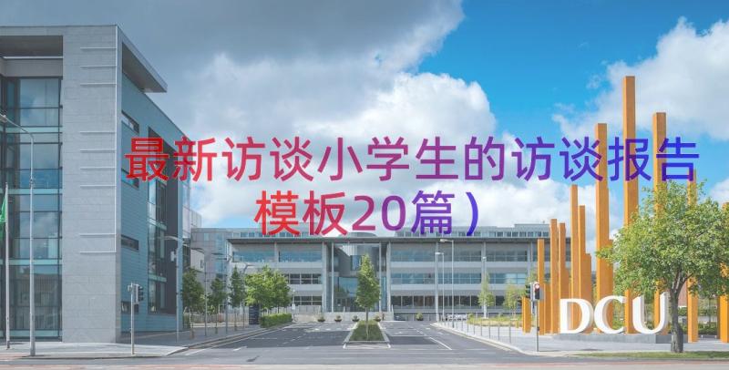 最新访谈小学生的访谈报告（模板20篇）