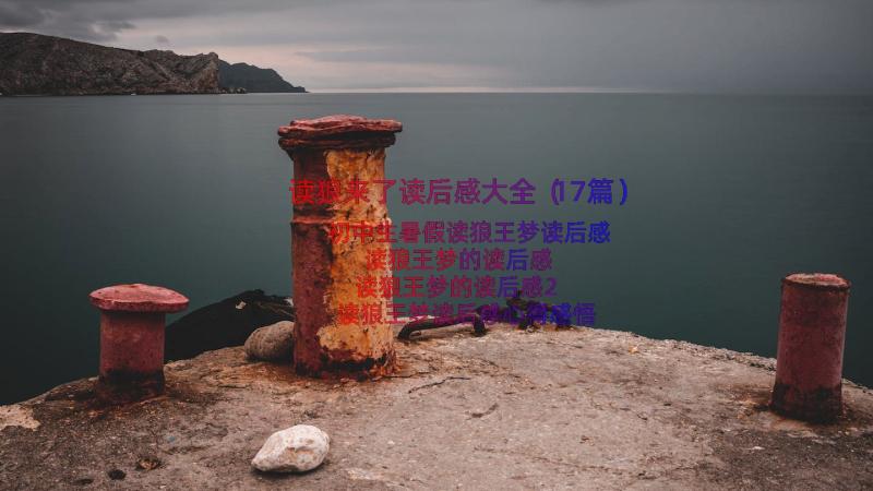 读狼来了读后感大全（17篇）