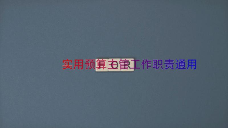 实用预算主管工作职责（通用14篇）