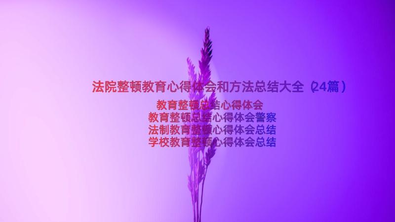 法院整顿教育心得体会和方法总结大全（24篇）