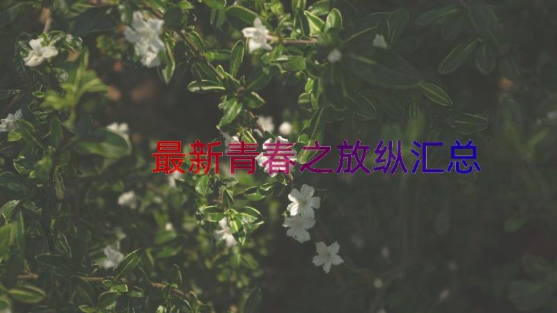 最新青春之放纵（汇总13篇）