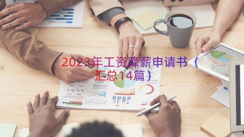 2023年工资降薪申请书（汇总14篇）