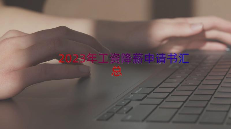 2023年工资降薪申请书（汇总20篇）