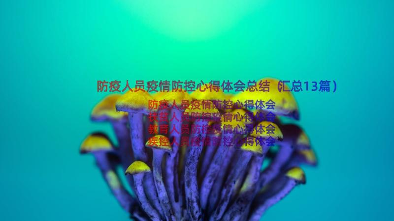 防疫人员疫情防控心得体会总结（汇总13篇）