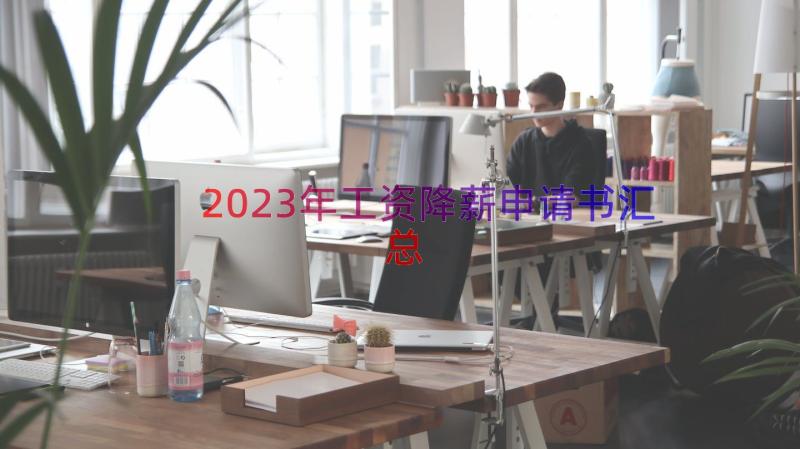 2023年工资降薪申请书（汇总14篇）