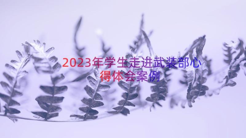 2023年学生走进武装部心得体会（案例17篇）