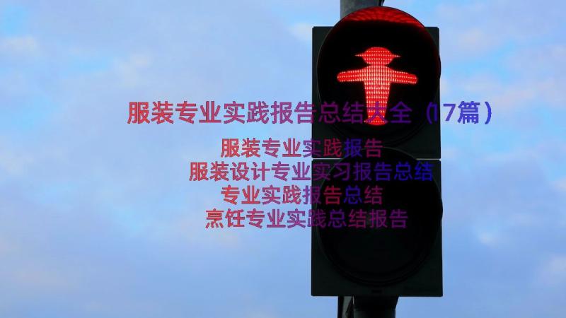 服装专业实践报告总结大全（17篇）