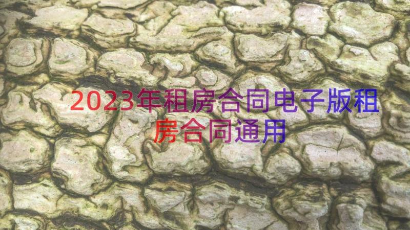 2023年租房合同电子版租房合同（通用15篇）