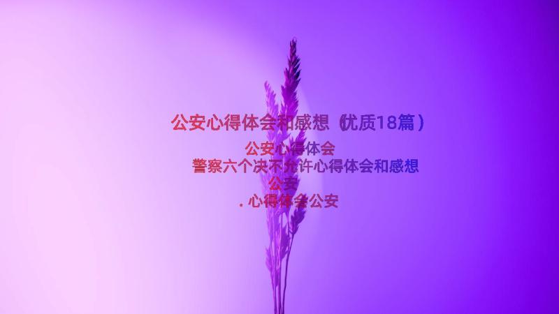 公安心得体会和感想（优质18篇）