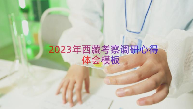 2023年西藏考察调研心得体会（模板12篇）