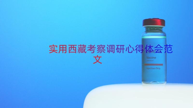 实用西藏考察调研心得体会范文（16篇）