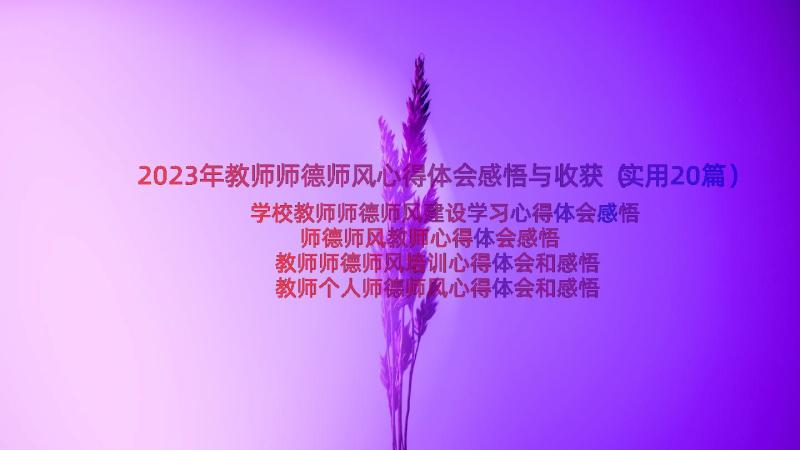 2023年教师师德师风心得体会感悟与收获（实用20篇）