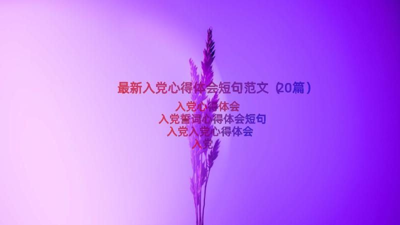 最新入党心得体会短句范文（20篇）