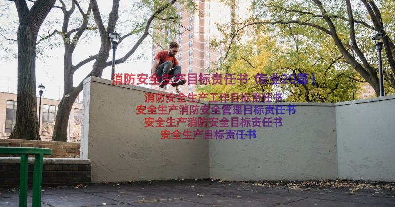 消防安全生产目标责任书（专业20篇）